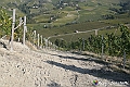 VBS_6432 - C'è un mare di velluto verde! E tu che sognavi di andare lontano... Quanta meraviglia, quì!